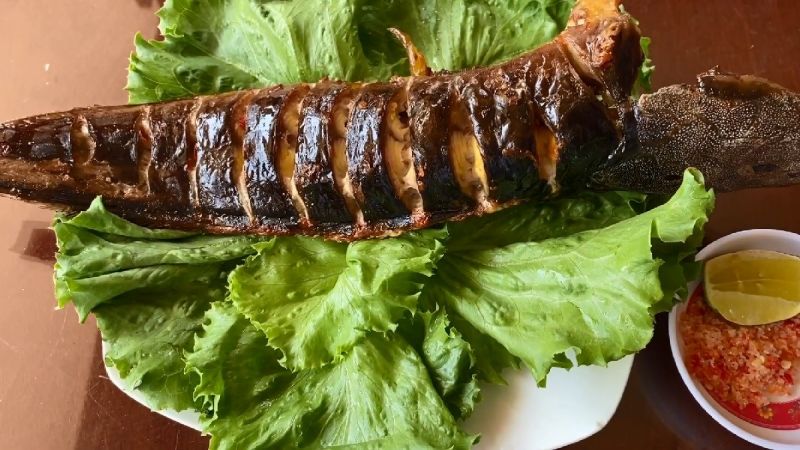 grilled catfish