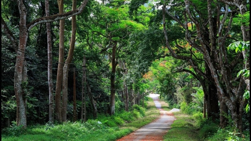 Cuc Phuong National Park