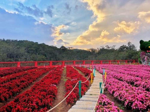 When is The Best Time to Visit Da Lat in 2024?