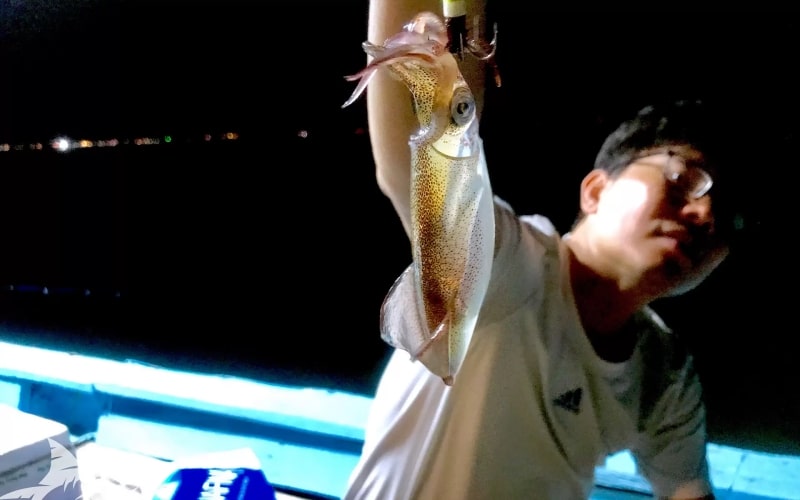Night Squid Fishing