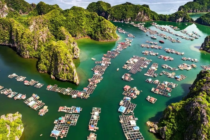 Hanoi - Halong Bay (B, L, D) - by shuttle bus - Joint in tour