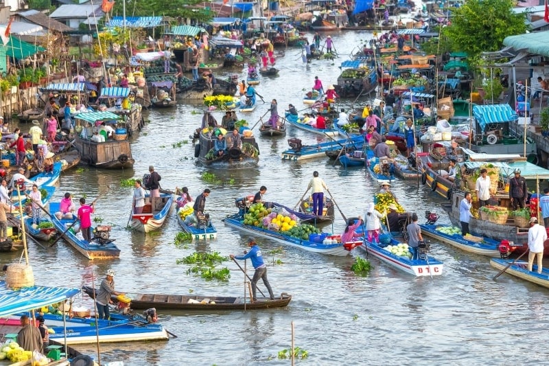 mekong delta