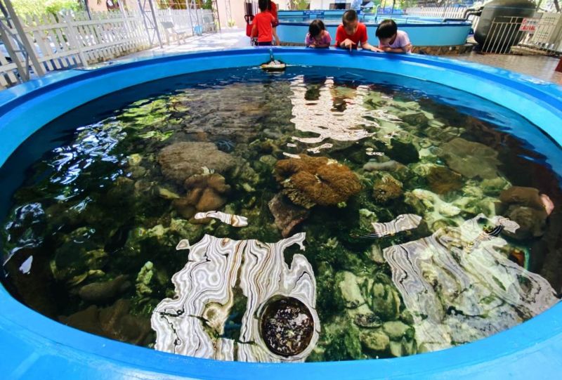 Aquarium and Mangrove Zone