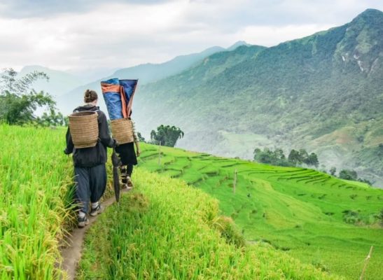 When is The Best Time to Visit Sapa in 2024?