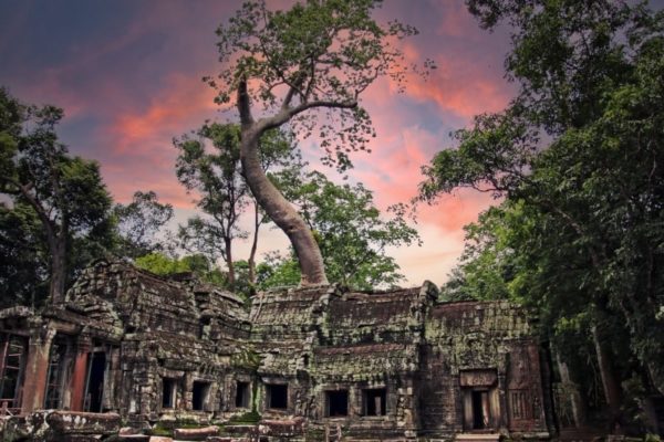 VNIN_Siem-Reap_15.jpg