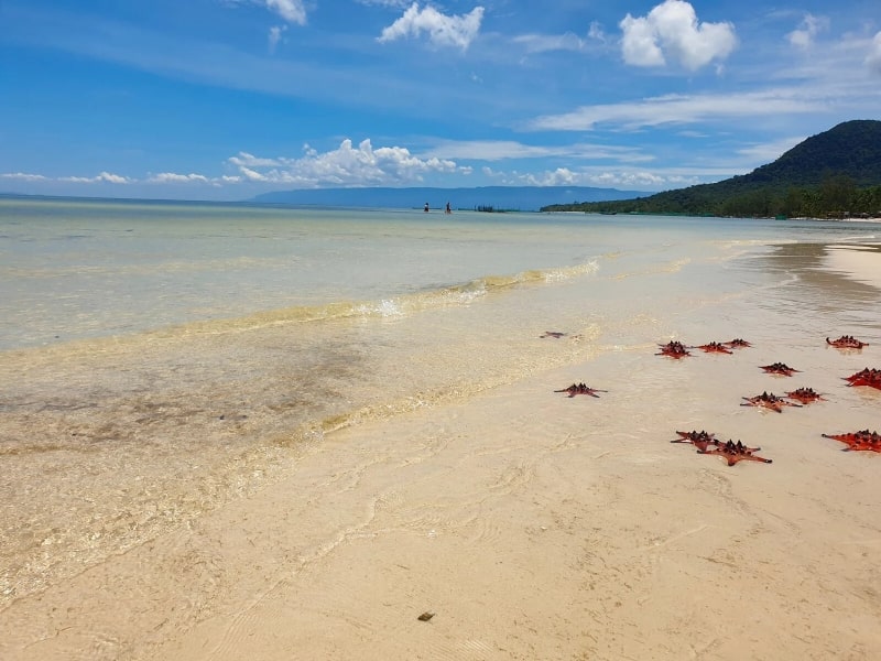 VNIN Starfish Beach min