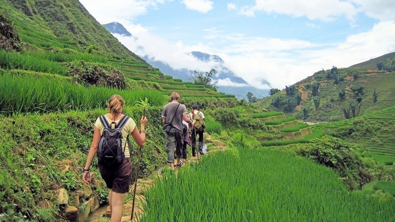 Trek in Sapa