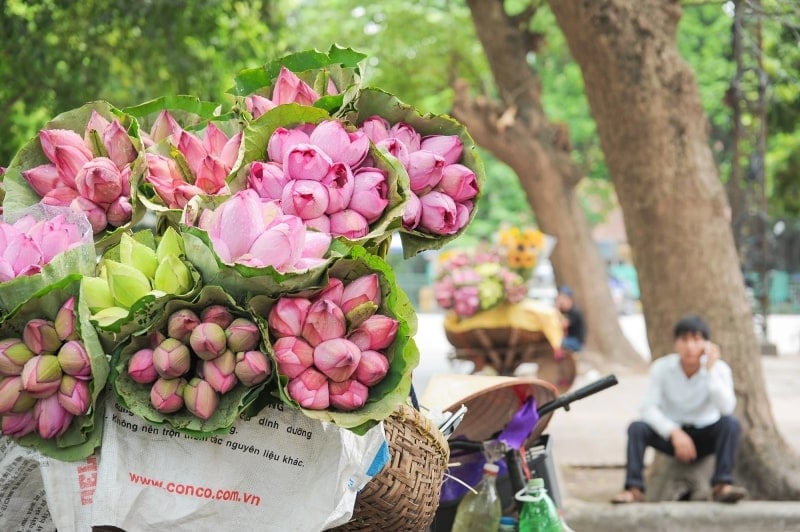 hanoi in june