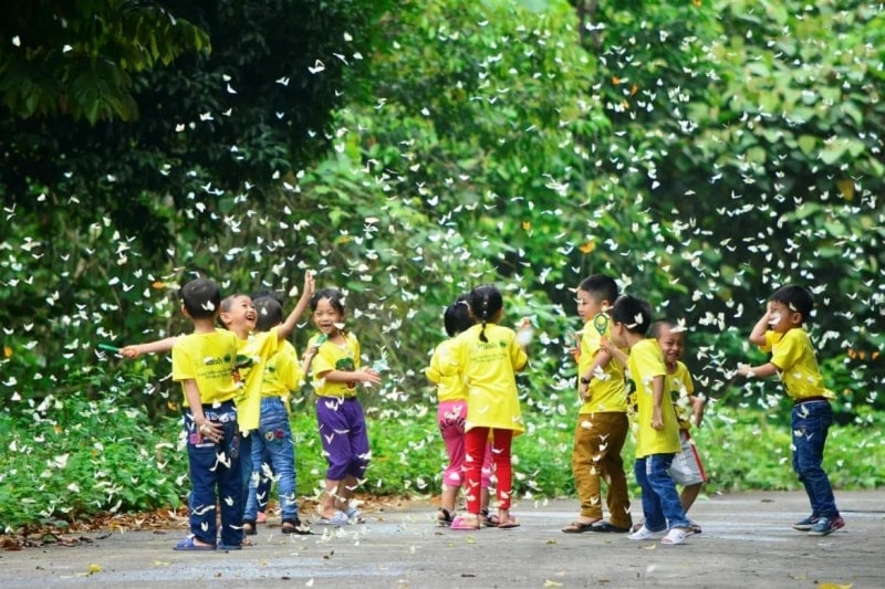 cuc phuong national park in may