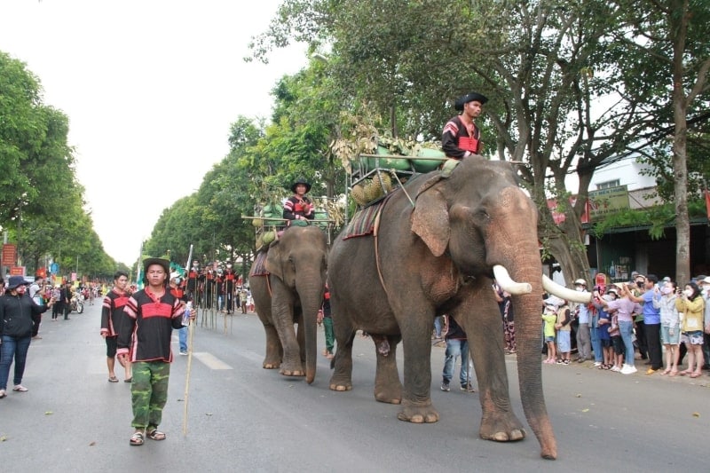 elephant festival in dak lak