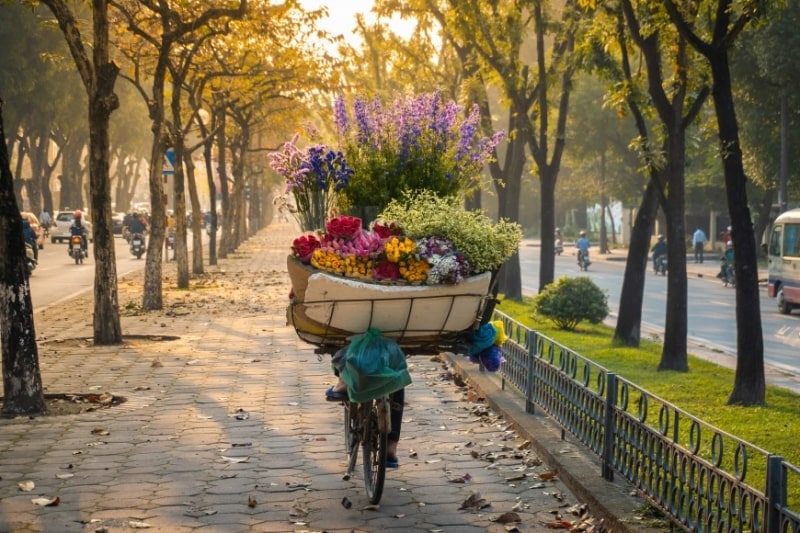 fall in vietnam
