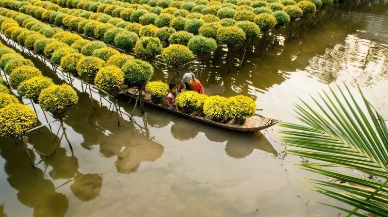 mekong delta in february