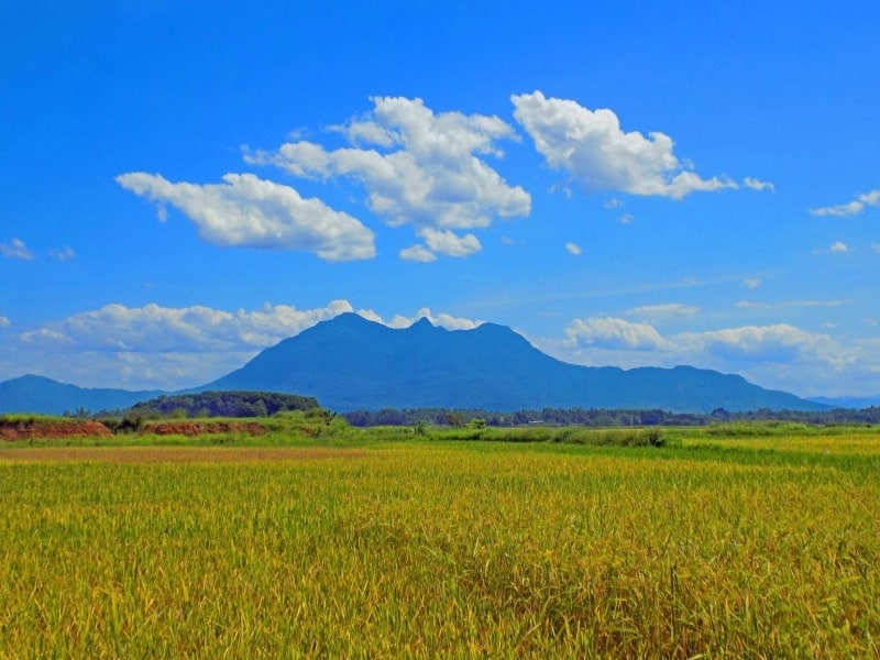 Ba Vi Mountain Range 