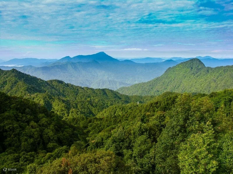 Bach Ma National Park