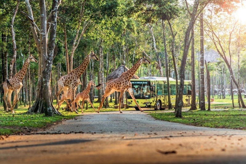 Vinpearl Safari Phu Quoc