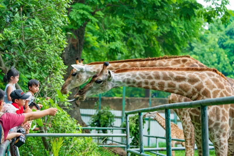 Visit Sai Gon Zoo