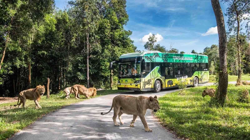 Visit Vinpearl Safari Phu Quoc