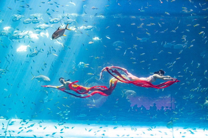 Watch Mermaid Show in Vinwonder Phu Quoc