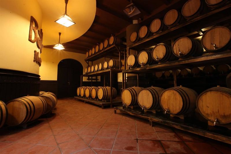 Debay Wine Cellar stone arched tunnel interior at Ba Na Hills with wine racks and warm lighting