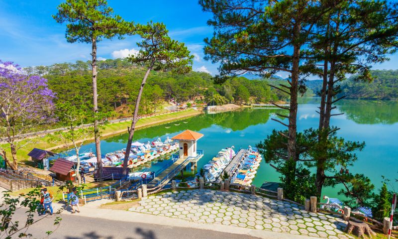 Da Lat flower garden in clear February afternoon sunshine showing the 16–22°C dry-season climate Indian tourists prefer