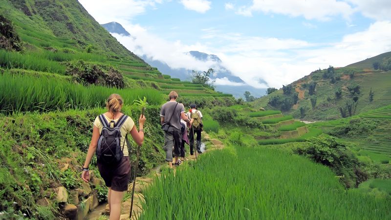 Best time to visit Sapa trekking March to May September October rhododendron rice terrace harvest Fansipan