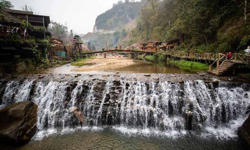 Golden ripe rice terraces in Muong Hoa Valley around Cat Cat Village September November harvest season ideal for Indian tourists