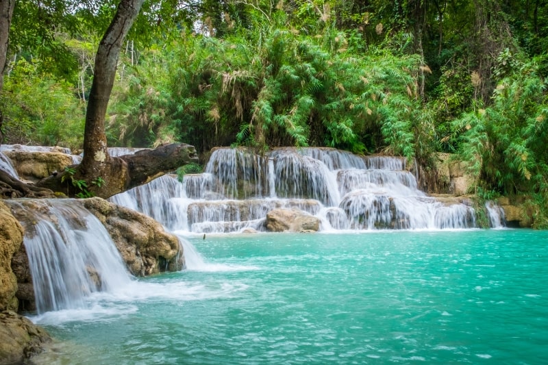 Day 2: Luang Prabang Sightseeing - Kuang Si Waterfalls (B)