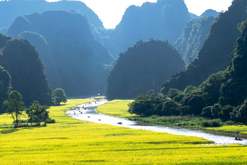Day 4: Hanoi - Ninh Binh (Hoa Lu Trang an) (Private Tour) (B)