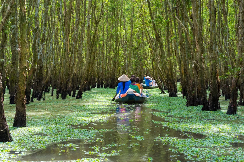 Day 6: Mekong Delta Sightseeing