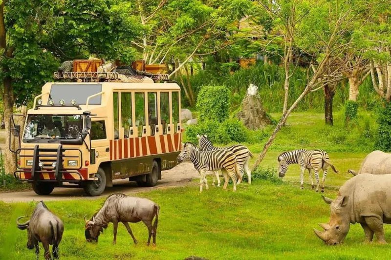 Day 7: Phu Quoc - Vin Wonders & Vin Safari (Private Tour) (B)