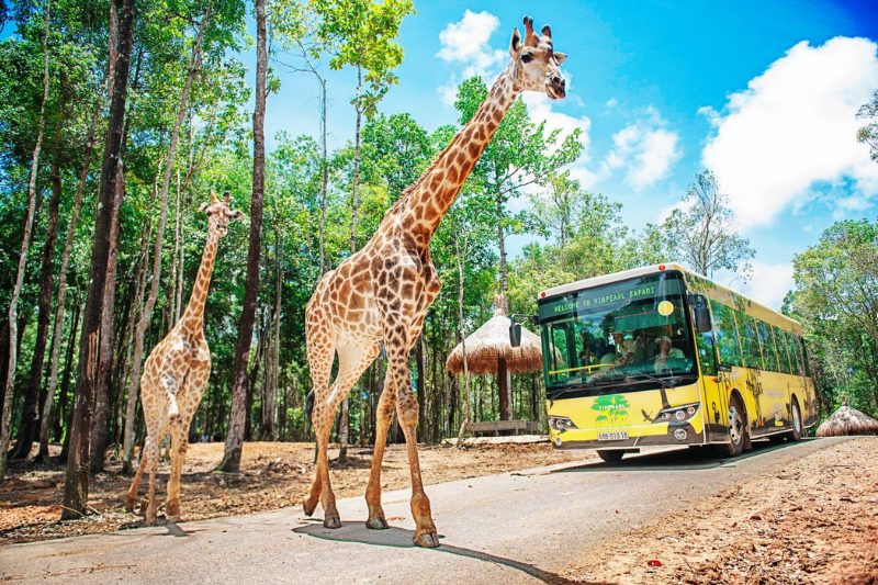 Day 7: Phu Quoc - Vin Wonders + Grand World Full-Day Tour (Private Tour) (B)