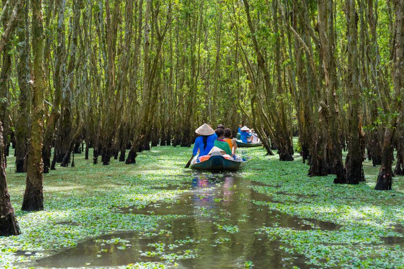 Day 7: Ho Chi Minh - Mekong Delta (My Tho) Tour (Private Tour) (B) (B)