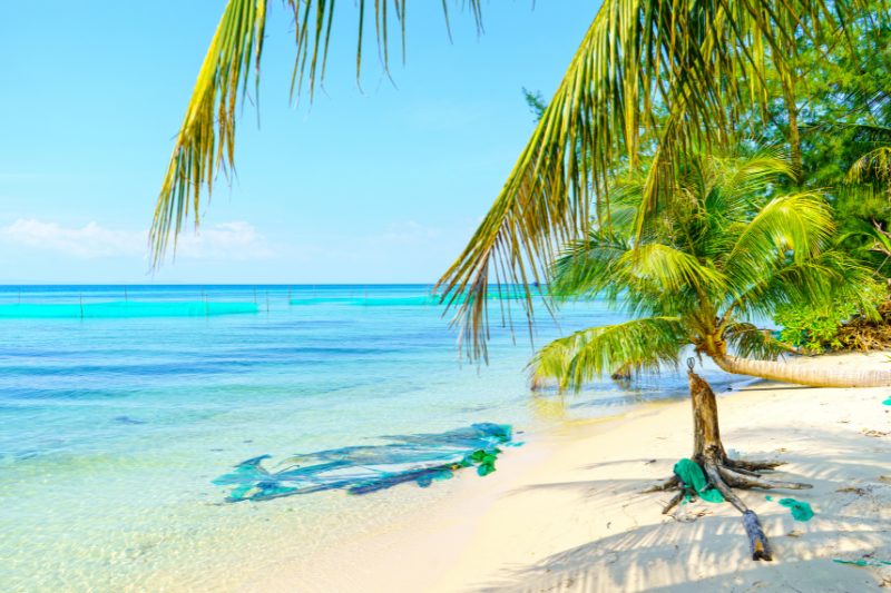 Day 8: Phu Quoc Departure (B)