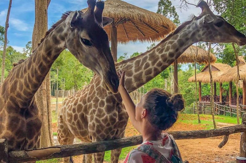 Day 8: Phu Quoc - Vin Safari (Private Transfer, no Guide) (B)