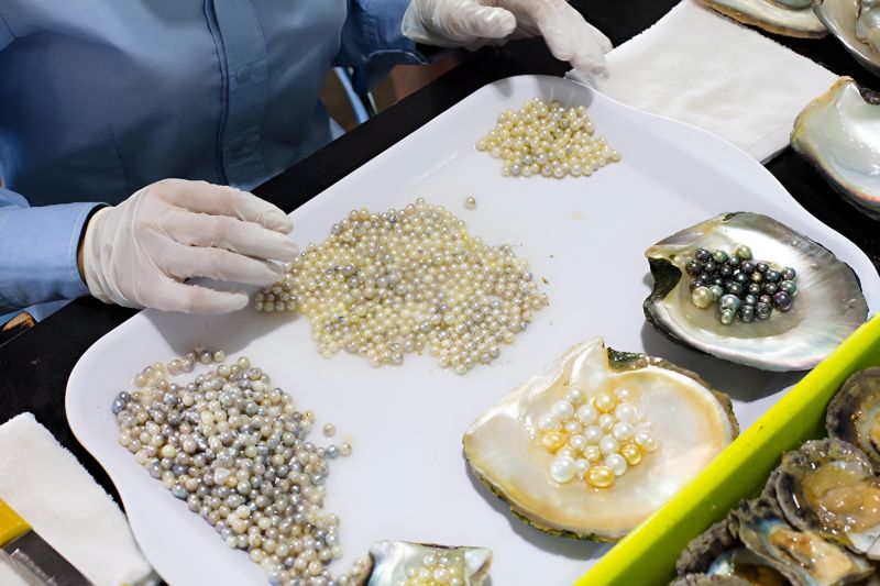Five at-counter tests for genuine Phu Quoc pearls including tooth test temperature test surface inspection UV light and price check