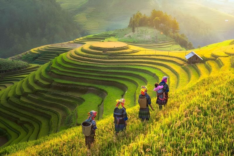 Sapa rice terraces Hmong women trekking Vietnam highlands — mountain experience Indian hikers
