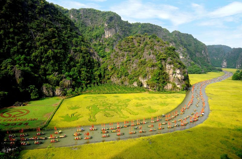 Aerial view of Tam Coc golden rice paddy fields with rowing boats and karst limestone mountains during October harvest in Ninh Binh
