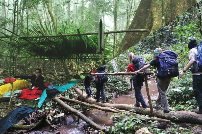 Trekkers walking through dense primary jungle inside Nam Ha National Protected Area in northern Laos near Luang Namtha