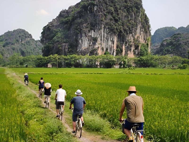 Cycling tours around Ninh Binh showing tourists riding bicycles through rice fields and limestone karst villages on Route 1