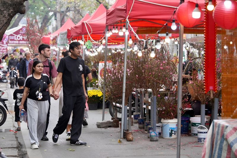 Vietnam in February Tet Festival season Hanoi Ho Chi Minh City flower market lion dance