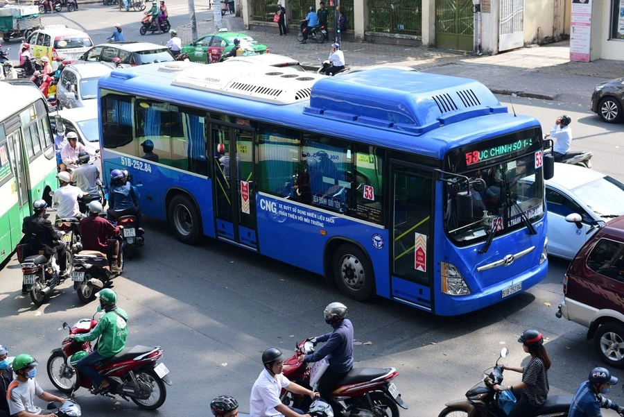 vietnam buses